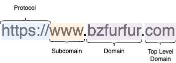 domain